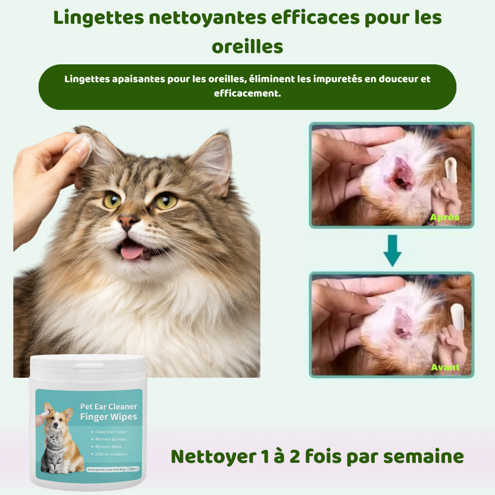 Clean'Ear : La Skincare animalière en 2 minutes