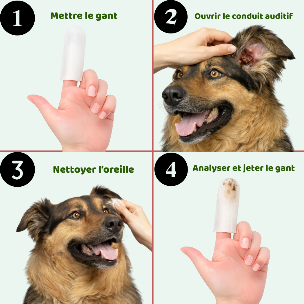 Clean'Ear : La Skincare animalière en 2 minutes