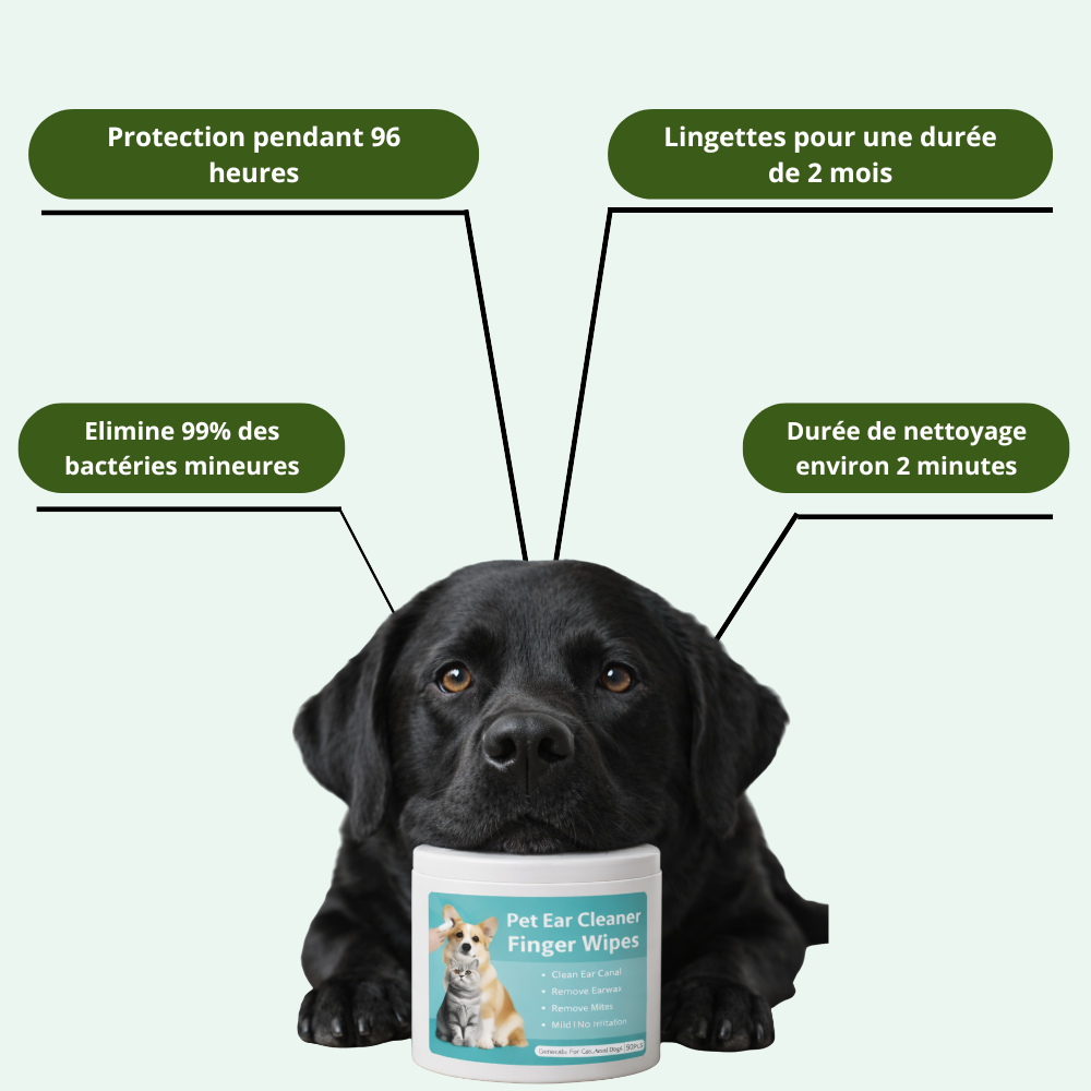 Clean'Ear : La Skincare animalière en 2 minutes