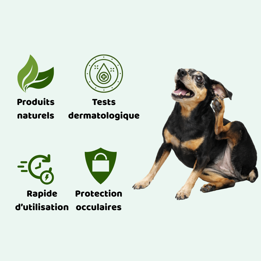 Clean'Ear : La Skincare animalière en 2 minutes